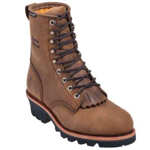 chippewa 1901g48