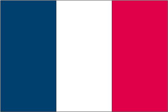  3x5 Ft France Nyl- Glo Flag