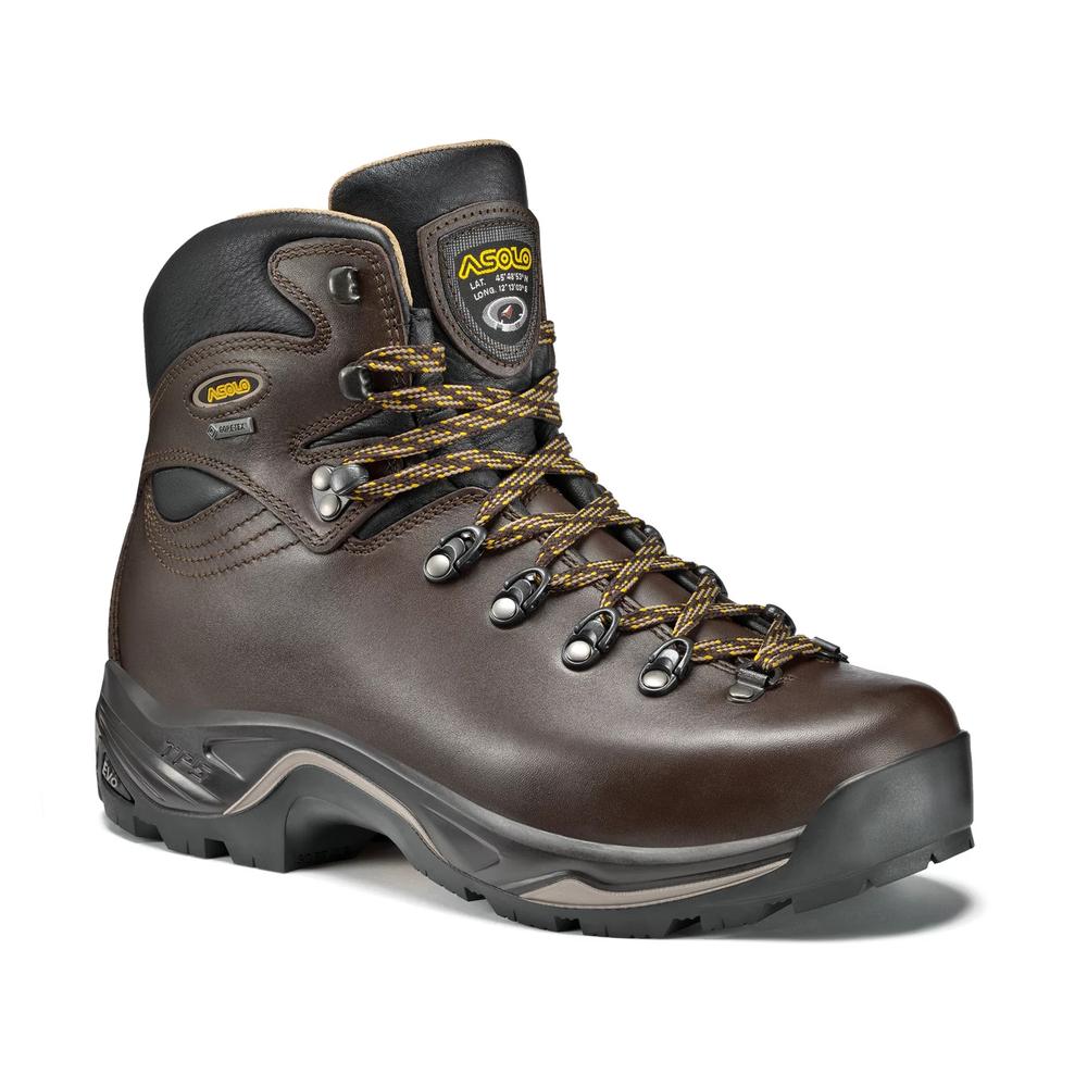 Asolo Men's TPS 520 GV Hiking Boot CHESTNUT