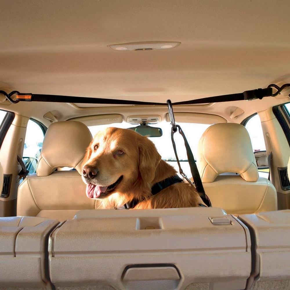 Kenco Outfitters Kurgo Auto Zip Line for Dogs