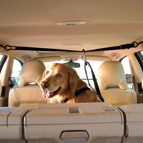 Kurgo Auto Zip Line for Dogs