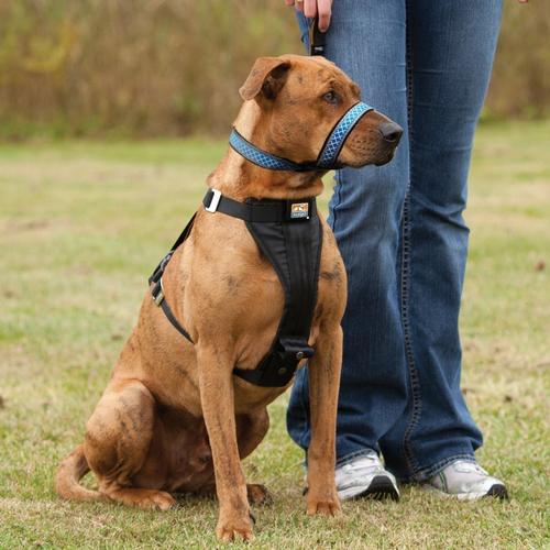 Kurgo Snout About Head Halter - Medium