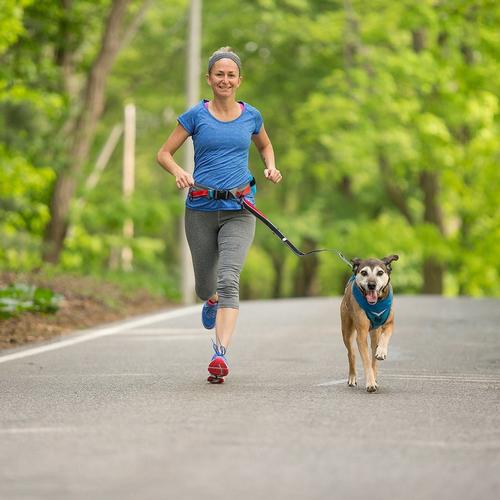 Kurgo K9 Excursion Running Belt