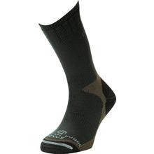 Lorpen Cold Weather Sock System CONIFER_GREEN