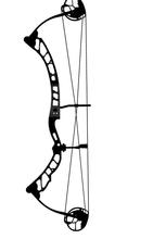 Elite Victory Right Hand Compound Bow