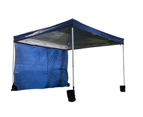 World Famous Sports 10x10 Sun Canopy