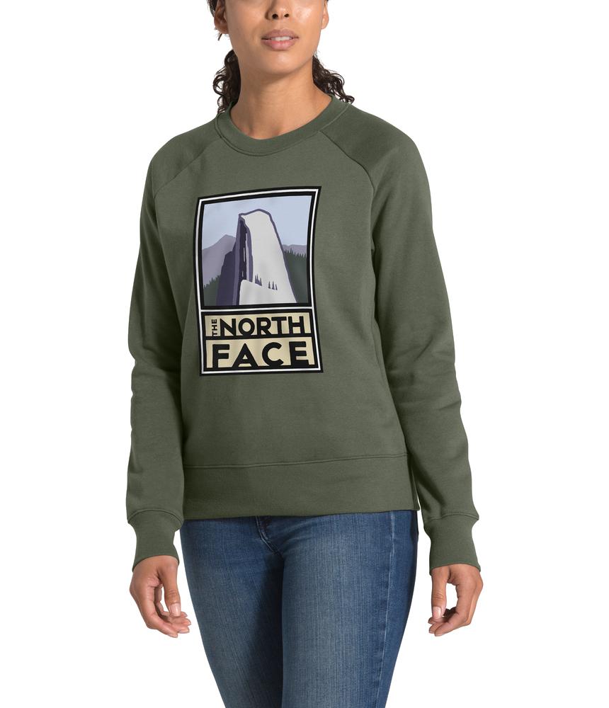 north face bottle source hoodie