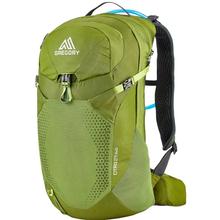 Gregory Citro 24 H2O Daypack GREEN